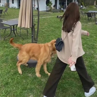 舞之梦
